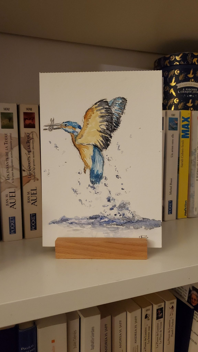 [1901] Martin-pêcheur