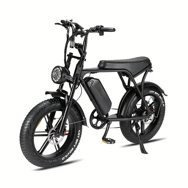 UNIT PACK POWER Unisex Classic E-Bike 1pc 
