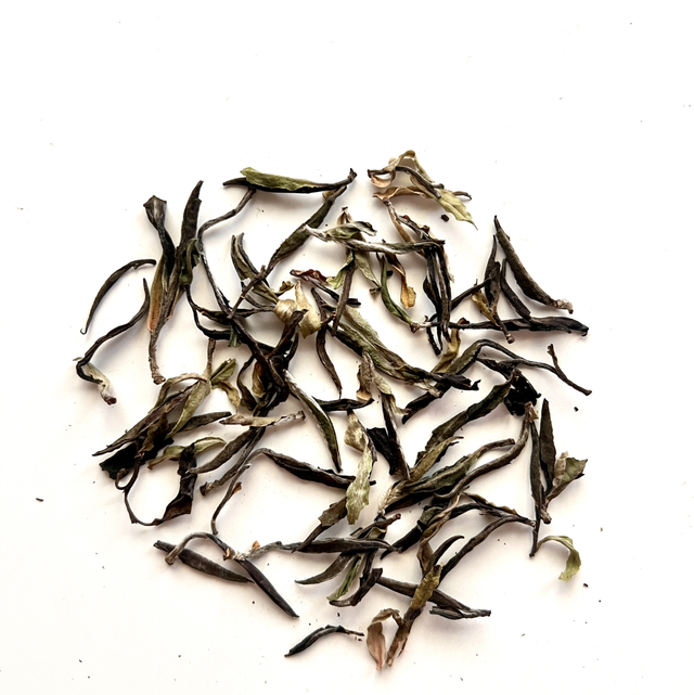 Mysty Forest Sin Ho Fairy (White Tea)