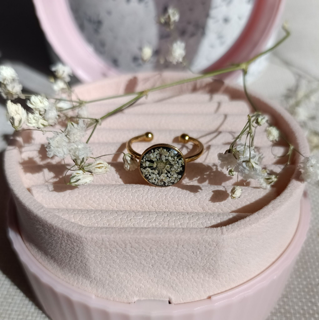 Stella Noir- Blanc profond