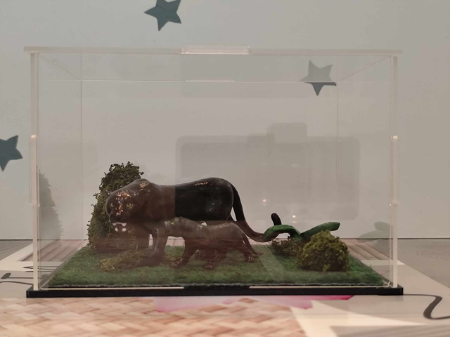 La vitrine des panthères noires