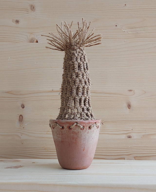 Palm Tree