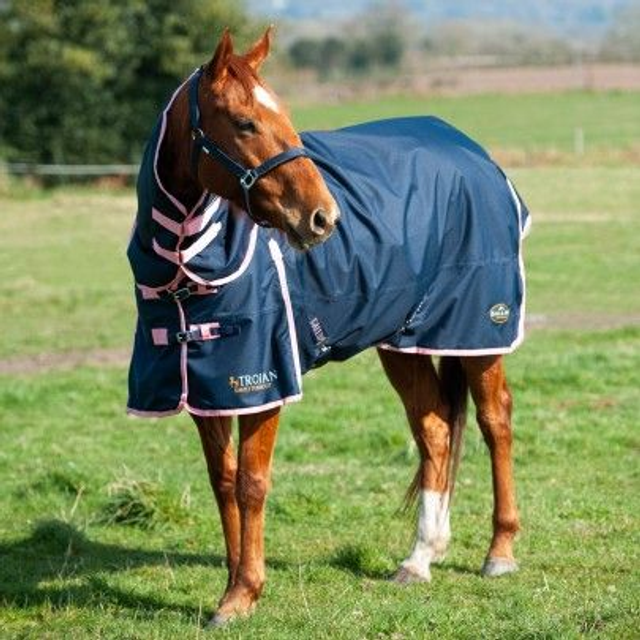 Gallop Equestrian Trojan Turnout Rug 50gsm fill