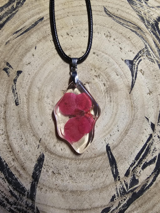 Pensée papillon rose 