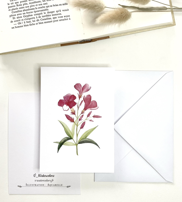 Carte postale « Fleurs de laurier rose »