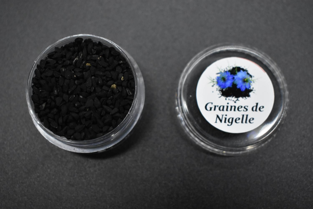 Graines de Nigelle