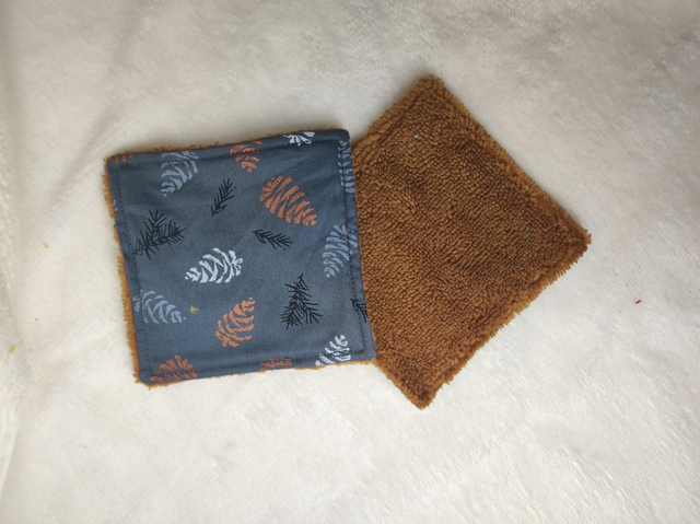 Forêt de pins gris et camel