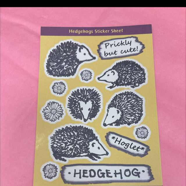 Sticker sheet hedgehogs Amelia Paveley 