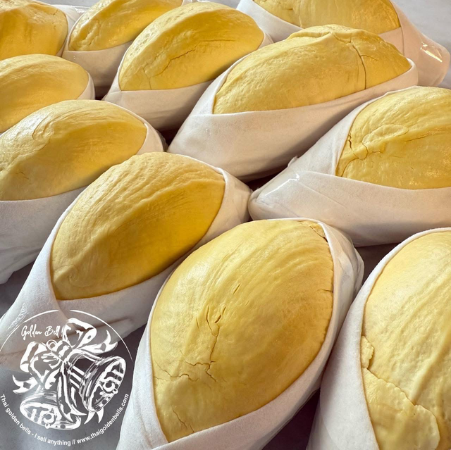 Durian Mon thong ทุเรียนหมอนทอง