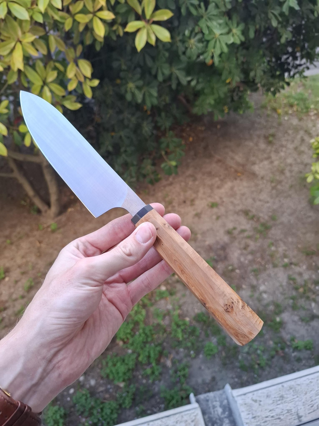 Multi 15cm - Loupe de cade