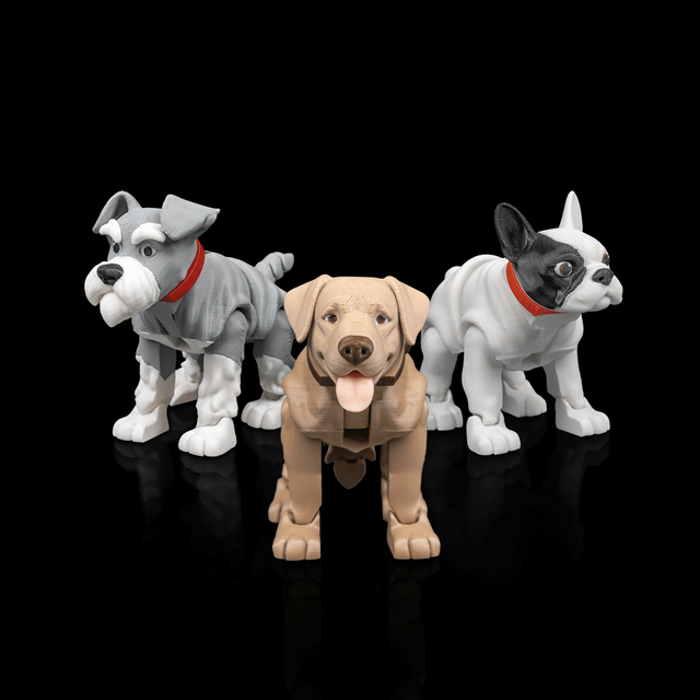 Votre compagnon flexible