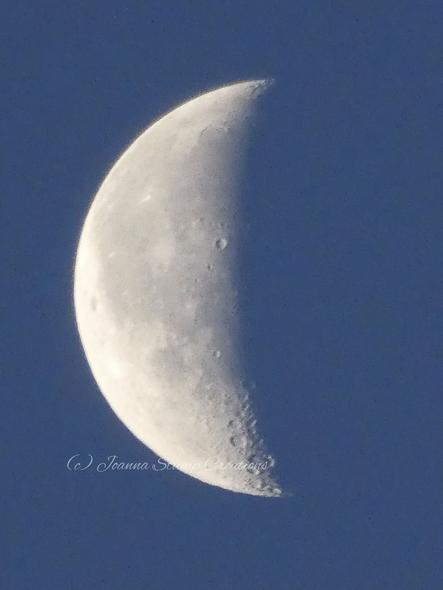 Photographic Open Edition Print from my "Up High" collection, "Halfmoon"