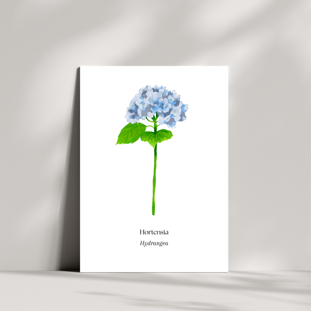 Cartes - Hortensia