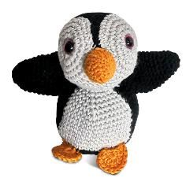 Pingüín. Pinguinoa