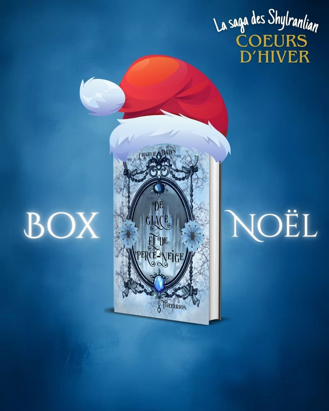 Box de noël Theelrion relié