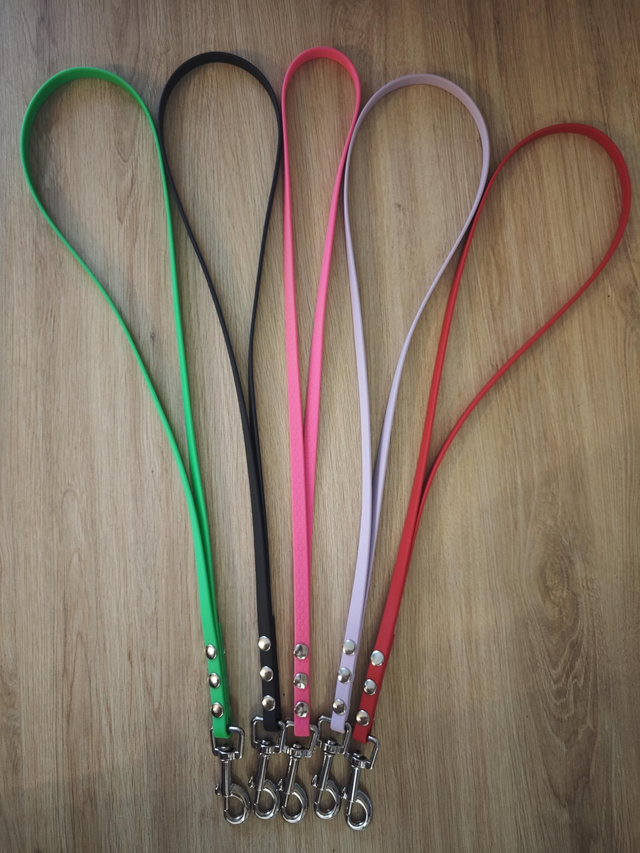 Range longes/laisses ou encore grand poignées ou mini laissesen sangle enduites (Biothane)