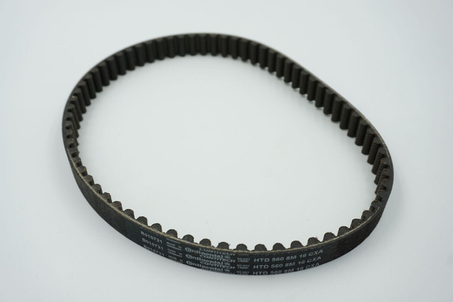 Courroie d'entraînement primaire  renforcée