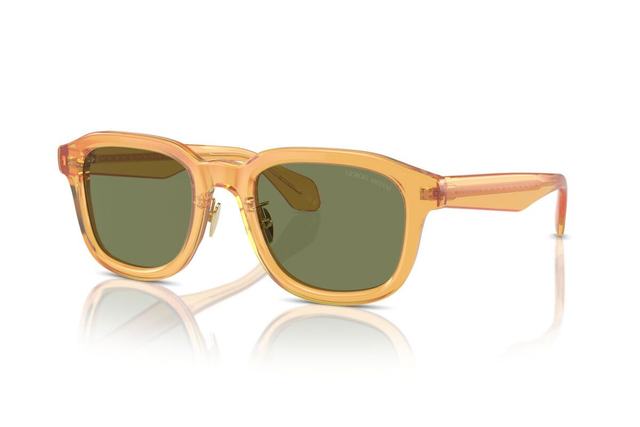 Eyewear Man Giorgio Armani  AR 8206 60632A