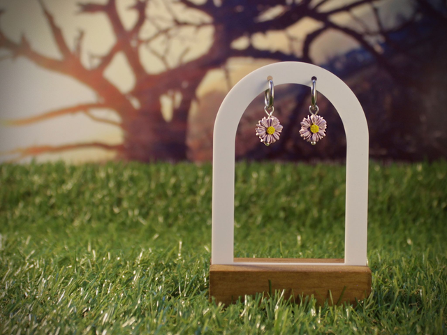 Petites Aster - Argenté