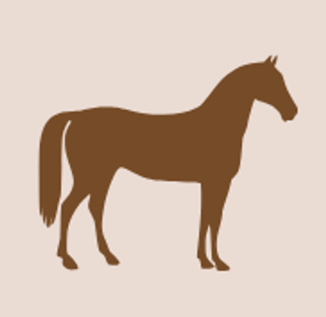 Gardiennage Equidé, supplément Box (jusqu'à 3 box)