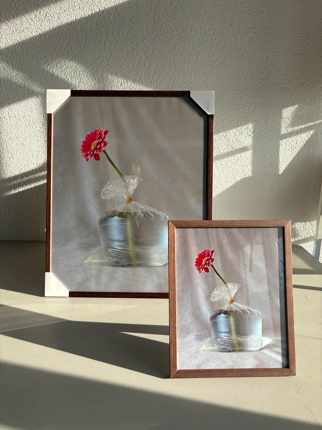 Fractured Bloom + frame