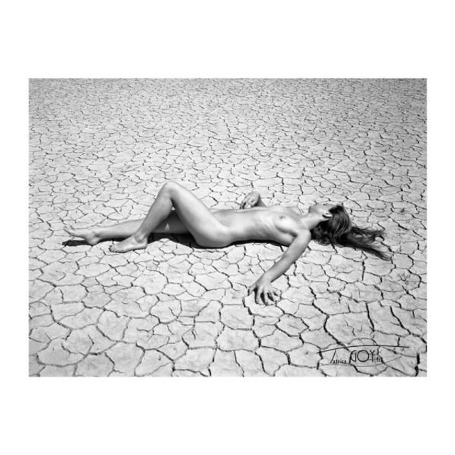 Craquelé 50cm x 60cm  limité à 5 expl Argentique