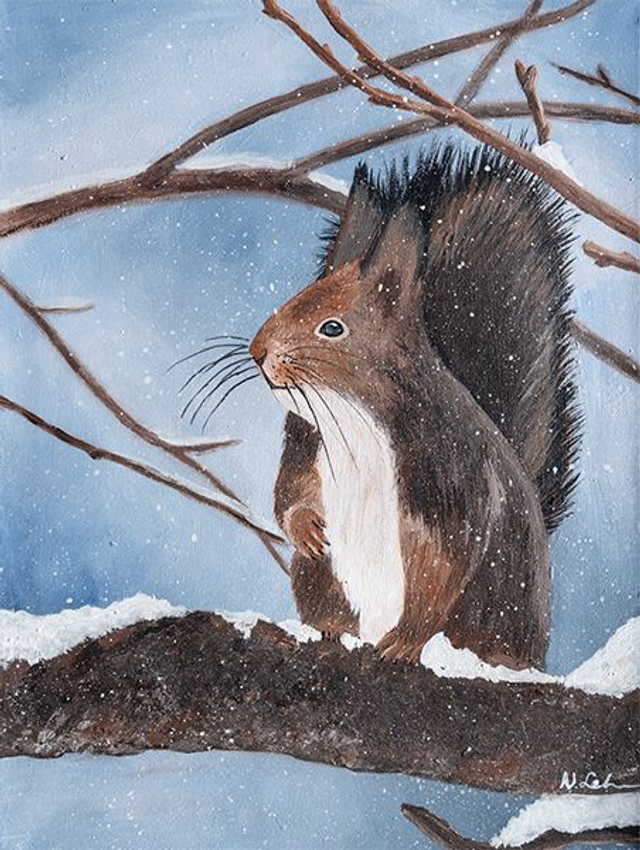 Eichhörnchen im Winter - Original