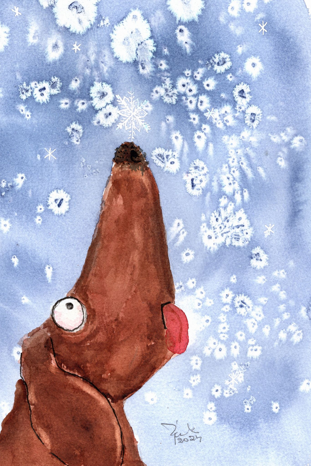 Koira kuono pystykkä lumisateessa