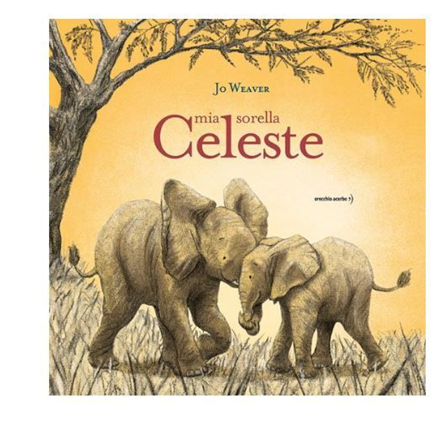 Mia sorella celeste. Ediz. a colori - di Jo Weaver 