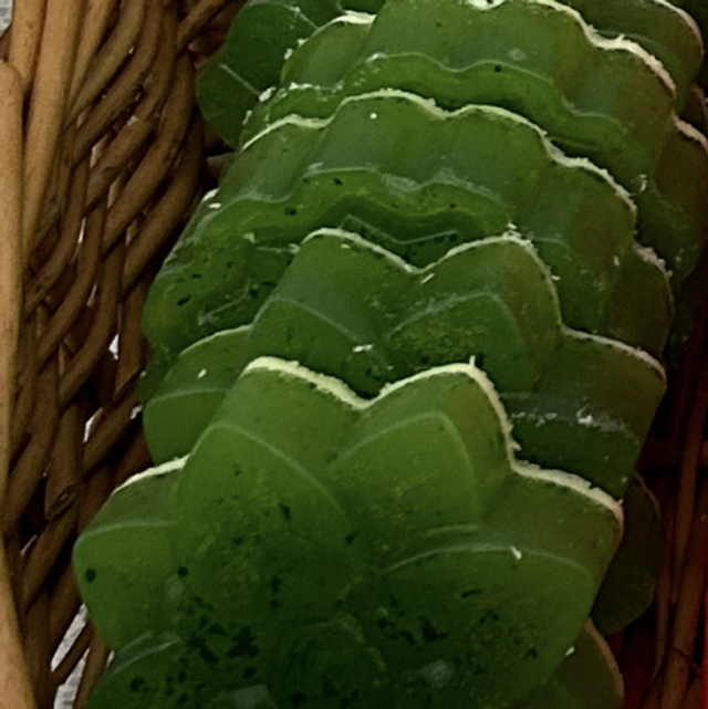 Fresh Cut Grass Carrot, Cucumber &amp; Aloe Soap
