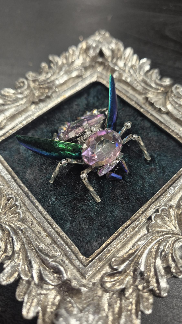Cadre argenté "Pastel Scarab"
