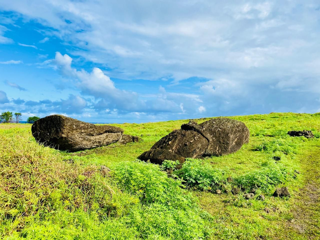 Ara O Te Moai Trail