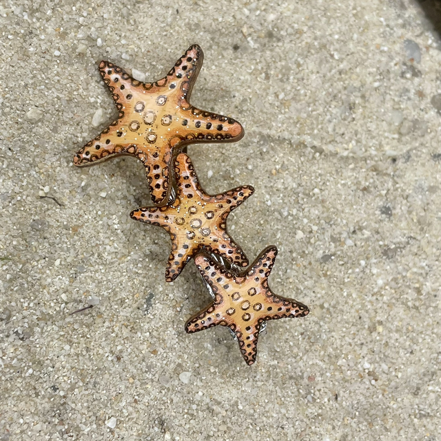 Pince crocodile pour cheveux Étoile de mer