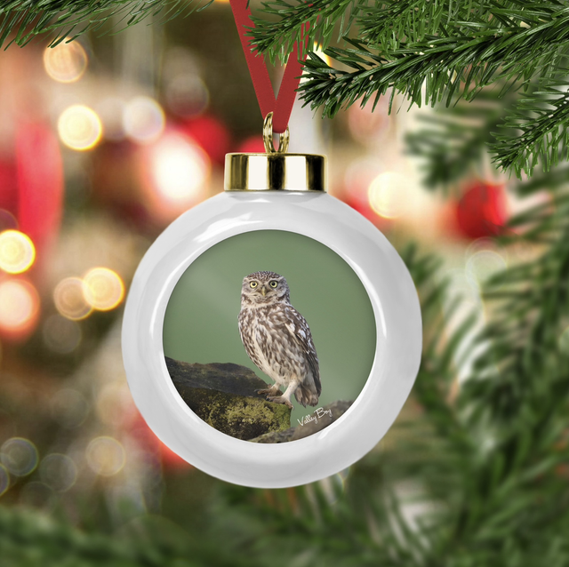 “Little Owl” Ceramic Bauble 
