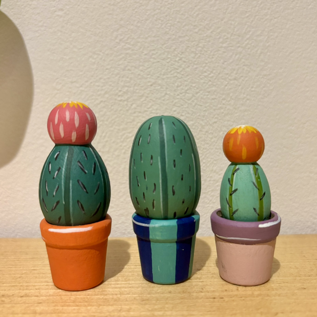 Set of mini cactus