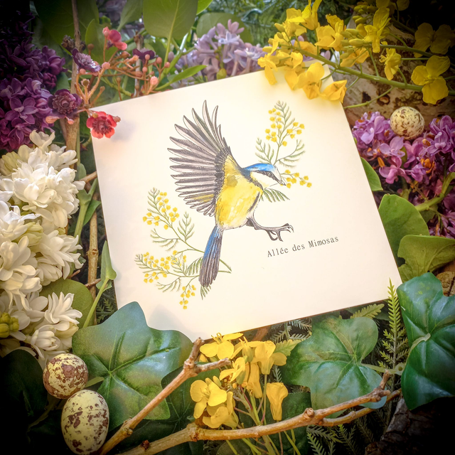 Carte &quot;Allée des mimosa&quot;