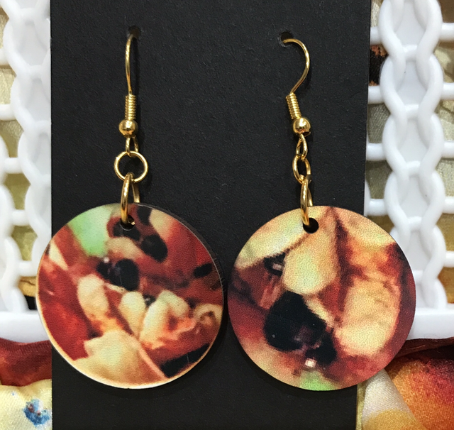 Wood Mixed Coloured Dangling Earrings- MSDE29