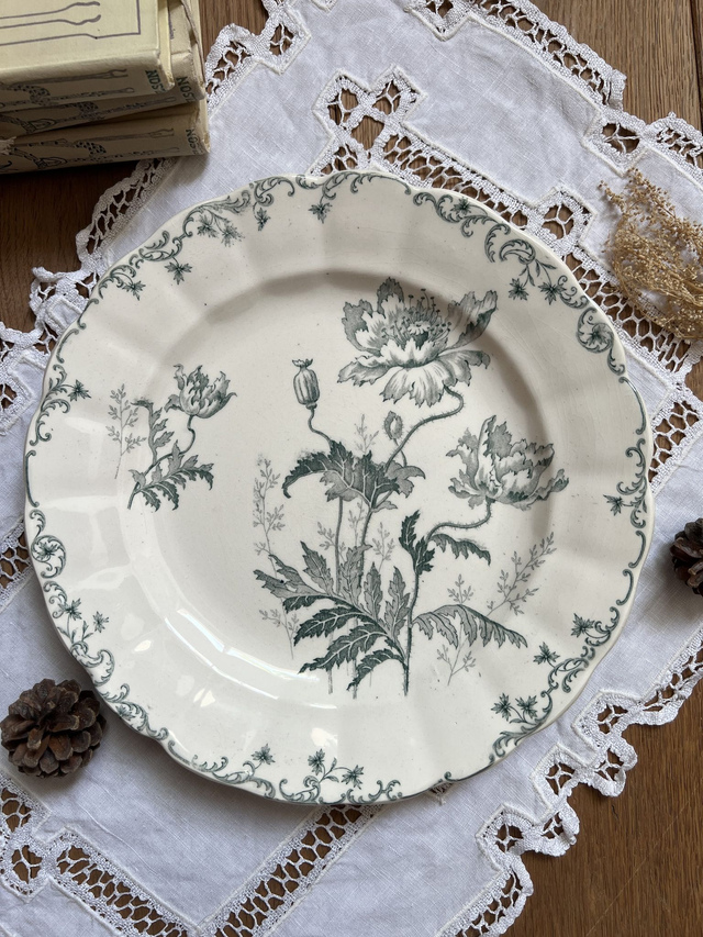 PAVOTS GRIS-VERT - Suite de 4 assiettes plates modèle Pavots par la manufacture française Choisy le Roi (H. Boulenger) - Terre de Fer