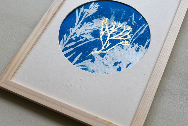 Algae - Première lueur - A4