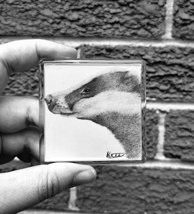 Badger Magnet