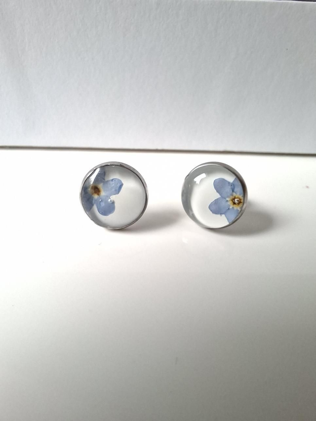 Puces d' oreilles "Perdita" acier inoxydable Argenté 10 mm