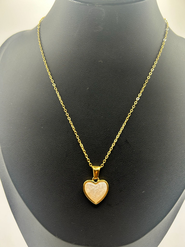 Stainless Steel Necklace (SSN118J)