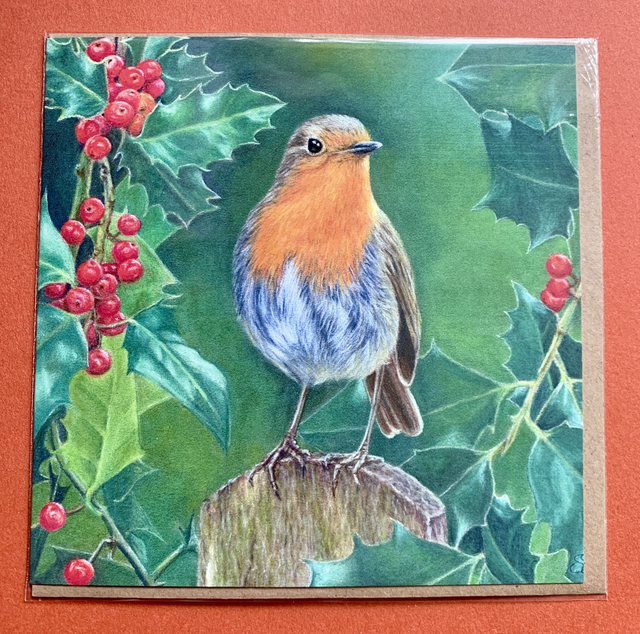 Christmas Card - Robin in Holly - Blank Inside