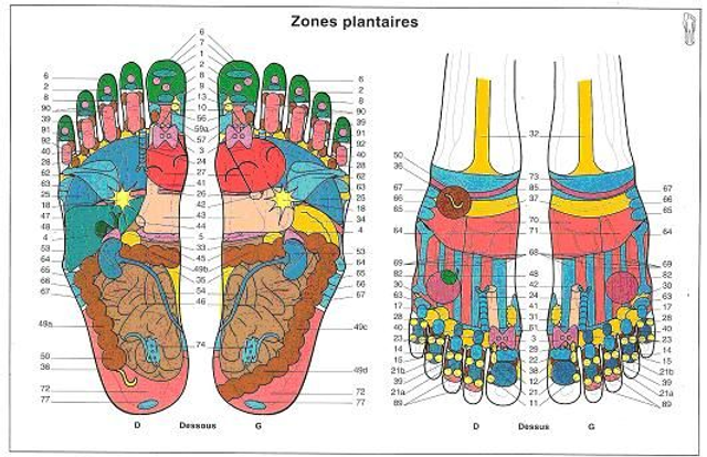 Forfait 5 séances de réflexologie plantaire