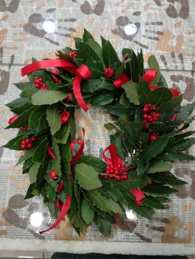 Coroncina di alloro per laurea 