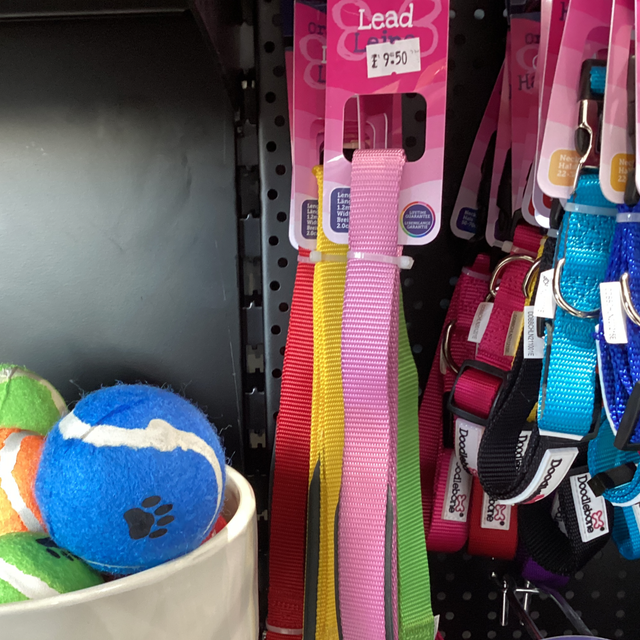 Doodle one original lead