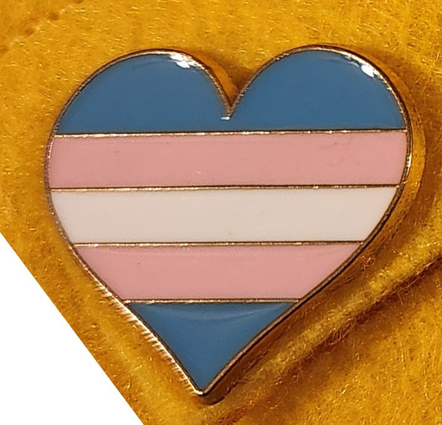 Trans Series Pin Badges