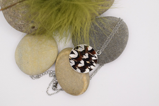 Collier faisan vénéré