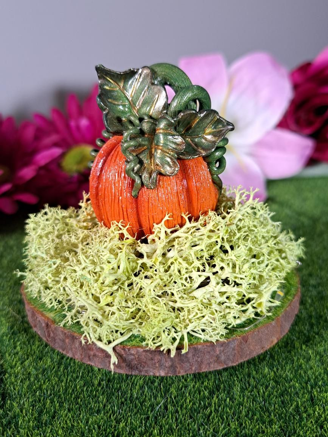 Étincelle de courge.