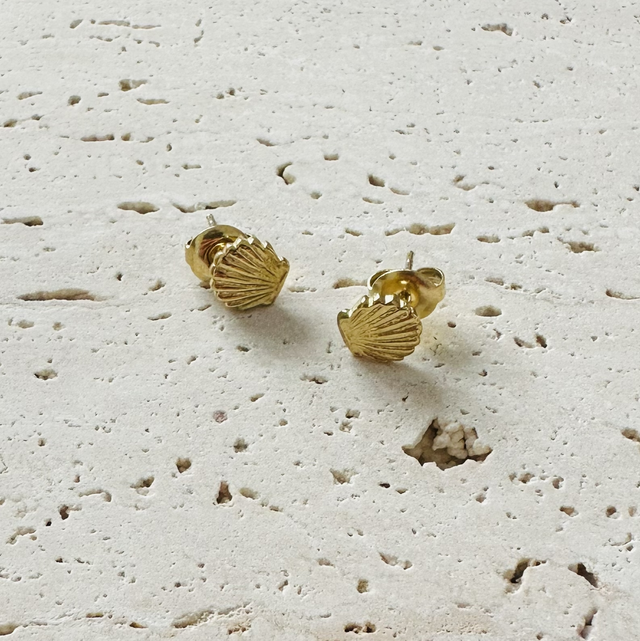 Oorknopjes schelpjes 